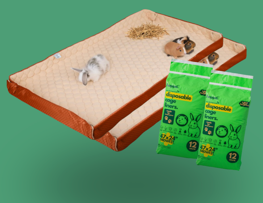 Black Friday Super Bundle (Pumpkin Spice, Midwest 47"x24")