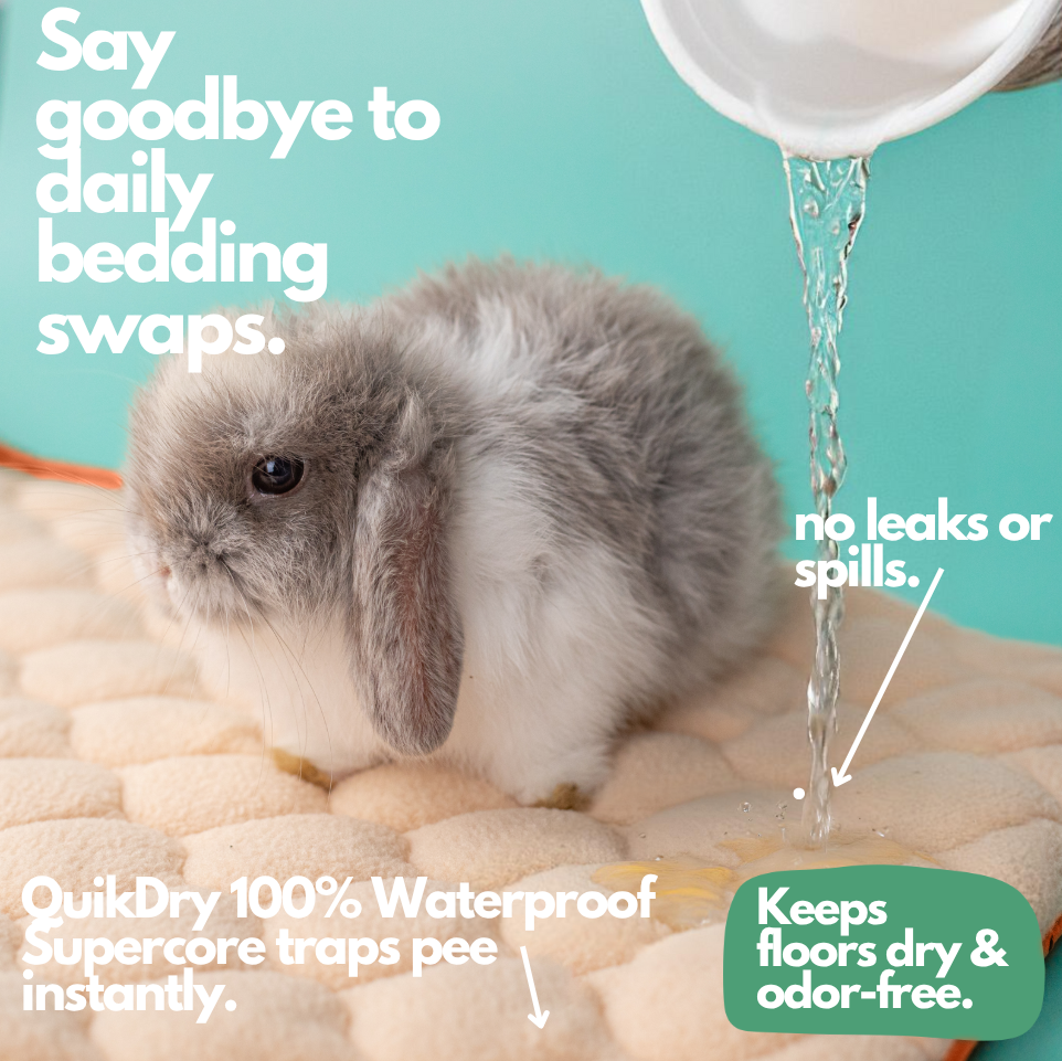 Black Friday Super Bundle (Midnight Blue, Midwest 47"x24")