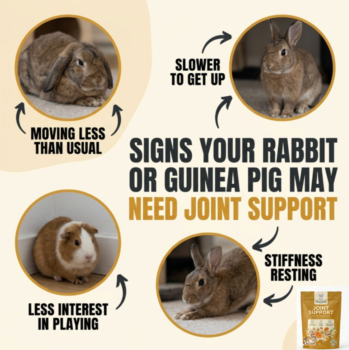 Hopp'd™ Joint Support - Natural Support for Rabbits & Guinea Pigs | Plant-Based Glucosamine, Turmeric & Ginger Root | 120 Baked Hay Chews | Natural Anti-Inflammatory Support | 8 oz (227g)